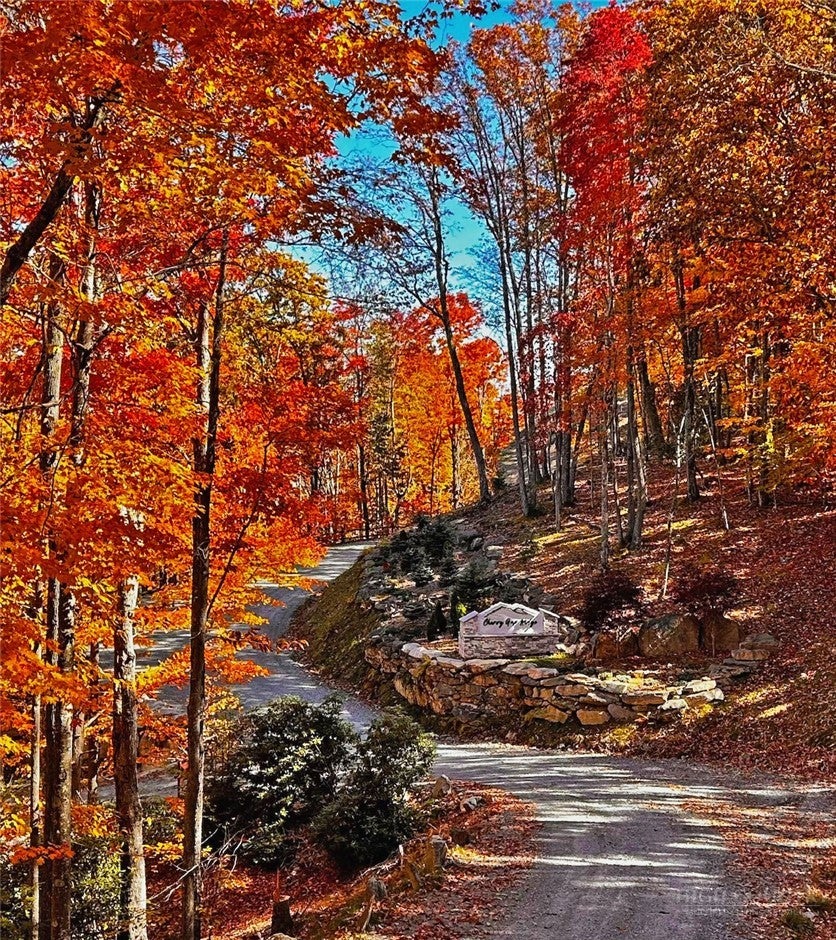 Lot 8 Pebble Creek Trail