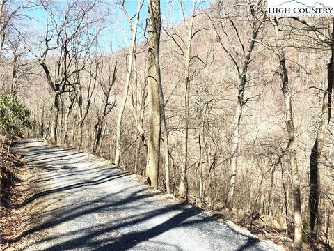Photo of TBD Trivette Branch Road, Boone, NC 28607 (MLS # 240179)