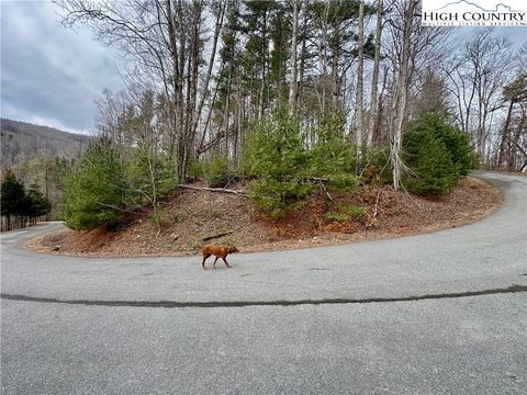 Photo of TBD Mantera Ridge, Sugar Grove, NC 28679 (MLS # 260643)