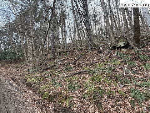 Photo of TBD Pritchard Road, West Jefferson, NC 28694 (MLS # 260145)