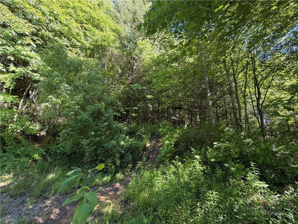 TBD W Crestview Drive