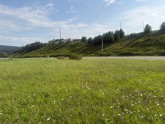 TBD MOUNT JEFFERSON ROAD, WEST JEFFERSON, NC 28694 - Image 1c2c68eb576e8d7fc96ed44d541246fa/395370723