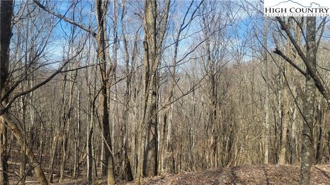 Photo of TBD Fork Ridge Road, Zionville, NC 28698 (MLS # 241705)