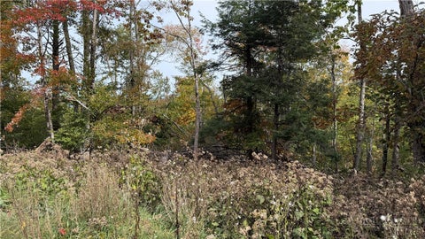 Photo of 111 Foxgrape Hollow Road, Beech Mountain, NC 28604 (MLS # 264761)