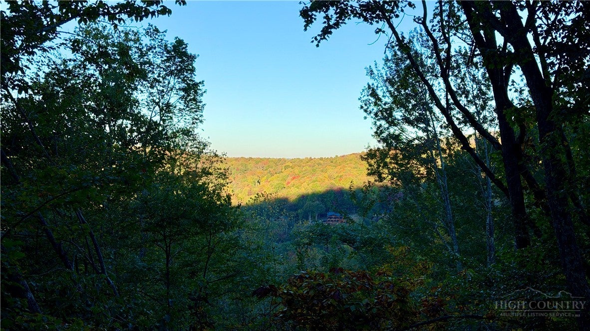 111 Foxgrape Hollow Road