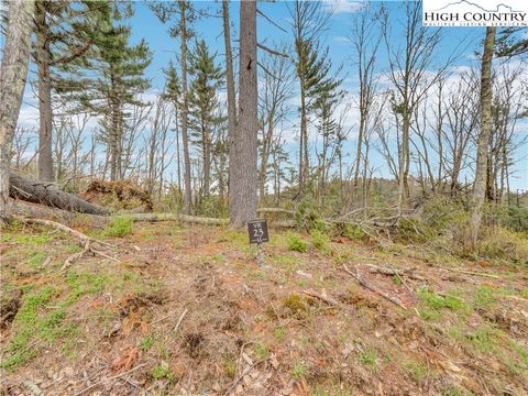 Photo of VR23 Fernwood Trail, Elk Park, NC 28604 (MLS # 258911)