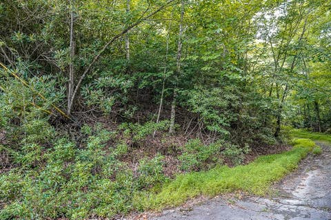 Photo of 101 Chipmunk Lane LN, Beech Mountain, NC 28604 (MLS # 263599)