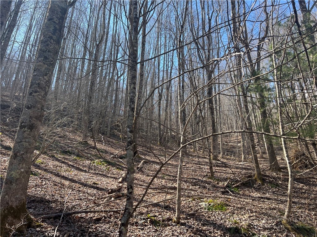 TBD Hart Road