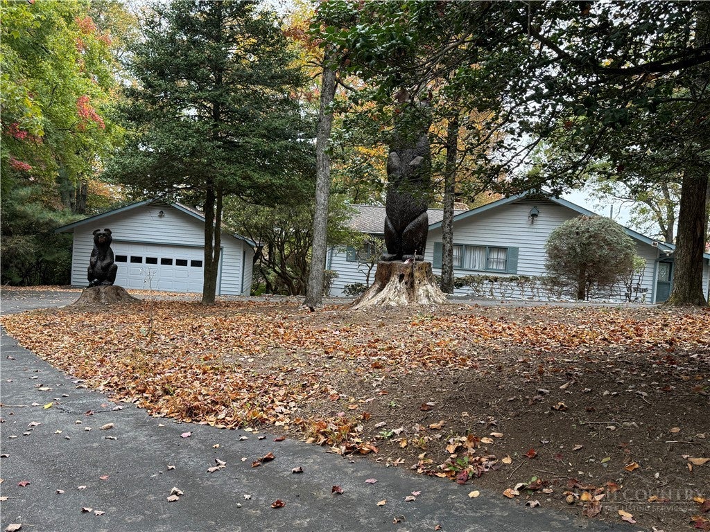 232 Shady Lane