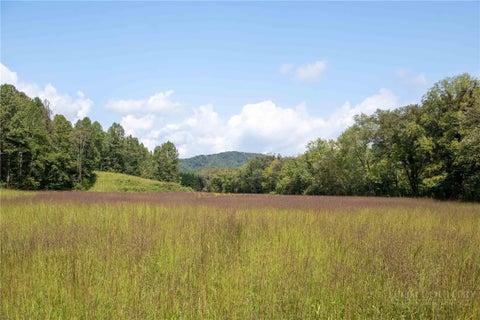 Photo of 3305 Zacks Fork Road, Lenoir, NC 28645 (MLS # 264443)