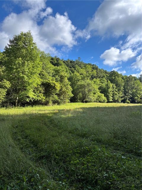 Photo of TBD Mt Zion Church Road, Piney Creek, NC 28663 (MLS # 262535)