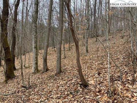 Photo of TBD Walnut Lane, Vilas, NC 26692 (MLS # 228208)