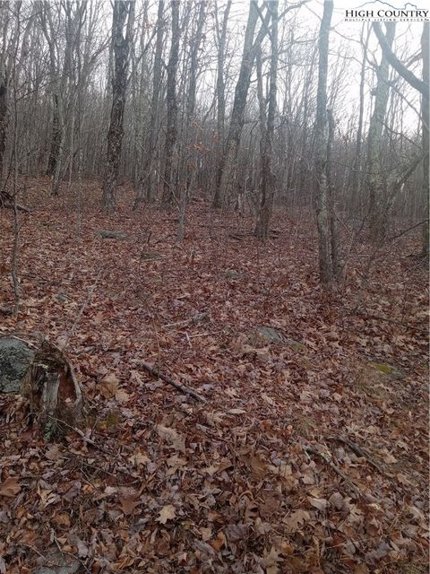 Photo of tbd Middle Fork Lane, Whitetop, VA 24292 (MLS # 259226)