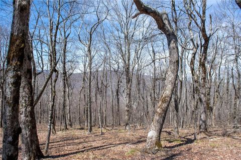Photo of Lot #100 Elk Creek Mountain Parkway Parkway, Todd, NC 28684 (MLS # 261160)