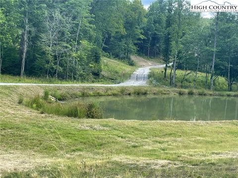 Photo of 4621 Banbury Trail Trl, Lenoir, NC 28645 (MLS # 259527)