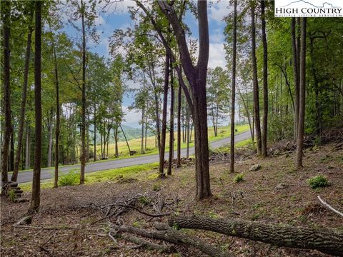 Photo of Lot 46 Wildcat Wilderness Parkway, Deep Gap, NC 28618 (MLS # 257966)