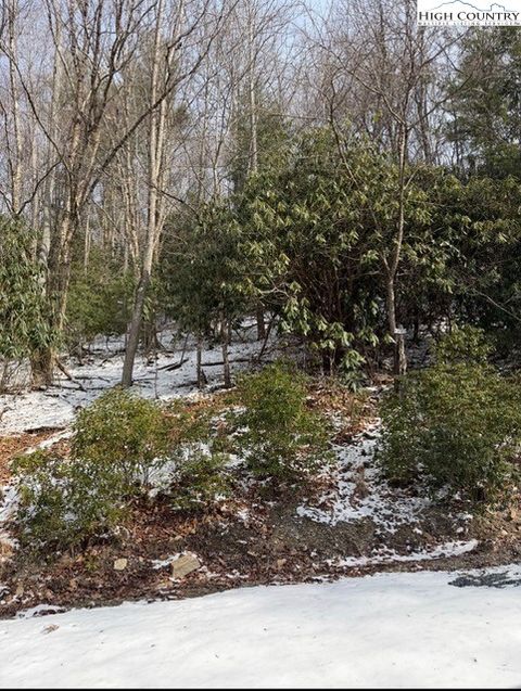 Photo of 301 Jackpine Road, Beech Mountain, NC 28604 (MLS # 260162)