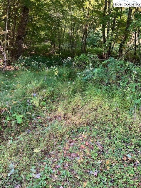 Photo of TBD Phillips Street, Boone, NC 28607 (MLS # 252106)