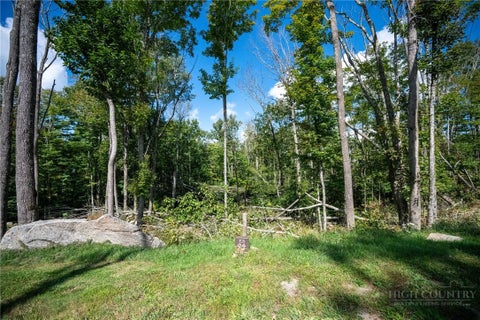 Photo of ES94 Twisted Oak Path, Banner Elk, NC 28604 (MLS # 264441)