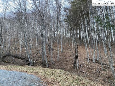 Vacant Land For Sale - LOT 55 Laurel Mountain Drive<br/> Sparta, NC 28675