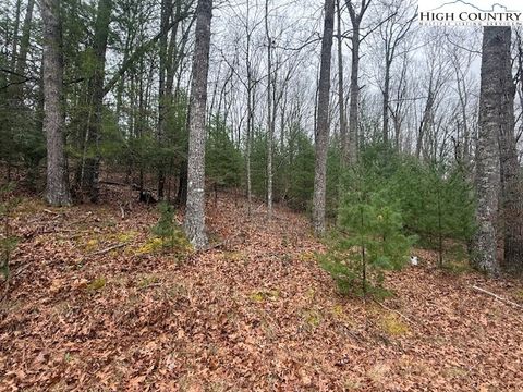 Photo of TBD Clearview Ridge, Crumpler, NC 28617 (MLS # 259205)