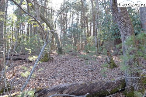 Photo of TBD Greenhouse Road, Roaring Gap, NC 28668 (MLS # 260015)