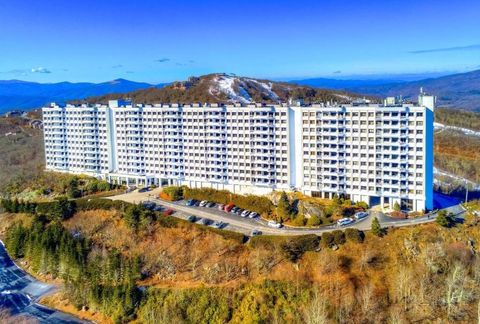 Photo of 303 Sugar Top Drive #2107, Sugar Mountain, NC 28604 (MLS # 261544)