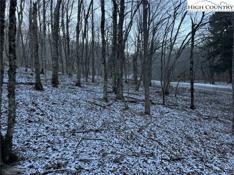 Photo of TBD Woodland Springs Road, Boone, NC 28607 (MLS # 259244)