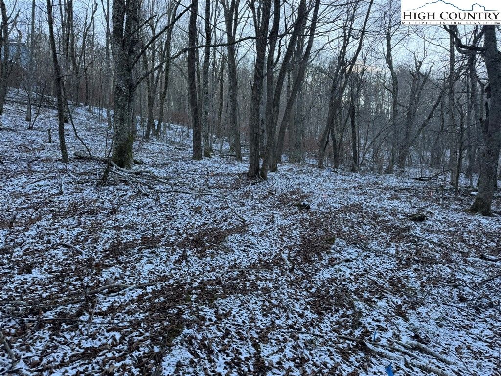 Photo of TBD Woodland Springs Road, Boone, NC 28607 (MLS # 259244)