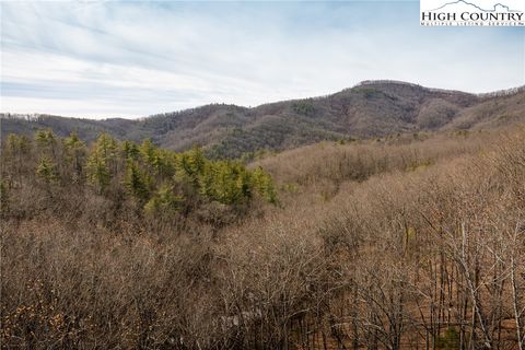 Photo of 1255 Reynolds Parkway, Boone, NC 28607 (MLS # 259768)