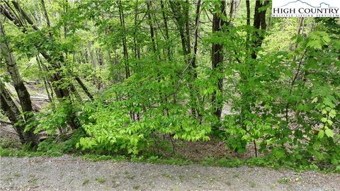 Photo of 206 Wild Daisy Lane, Beech Mountain, NC 28604 (MLS # 259443)