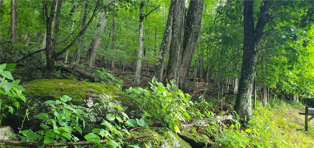 Photo of Lot 87 Thorncliff Drive, Seven Devils, NC 28607 (MLS # 263077)