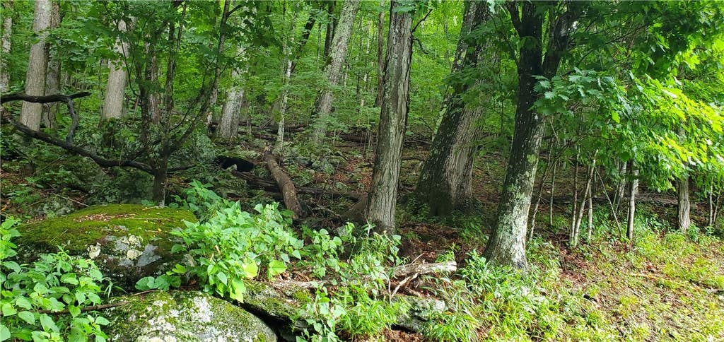 Photo of Lot 87 Thorncliff Drive, Seven Devils, NC 28607 (MLS # 263077)