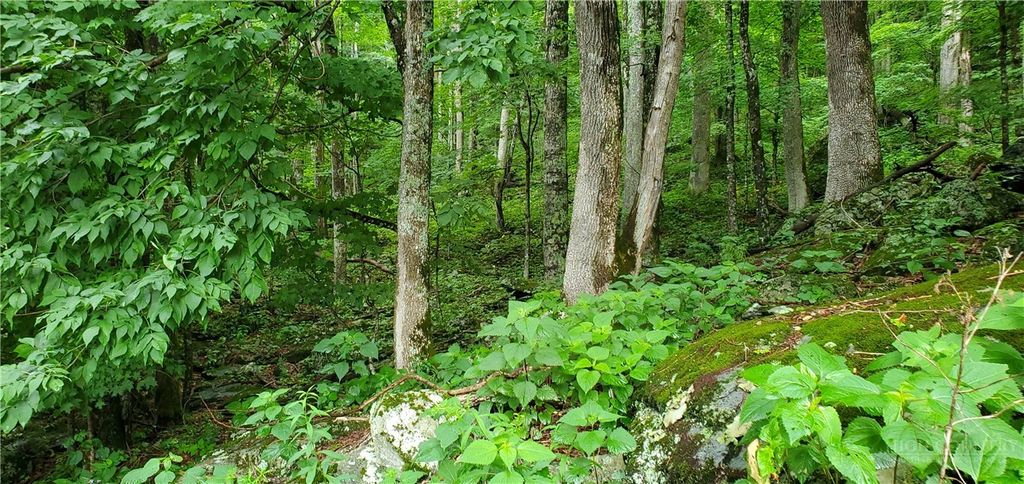 Photo of Lot 87 Thorncliff Drive, Seven Devils, NC 28607 (MLS # 263077)