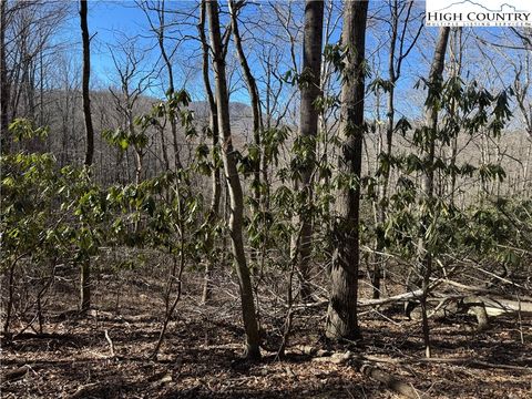 Photo of TBD Grace Mountain Road, Todd, NC 28684 (MLS # 254008)