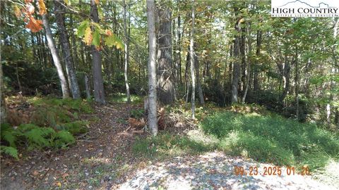 Photo of 000 Glen View Road, Boone, NC 28607 (MLS # 258218)