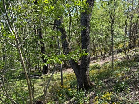 Photo of TBD Ski Mountain Road, Blowing Rock, NC 28605 (MLS # 261727)