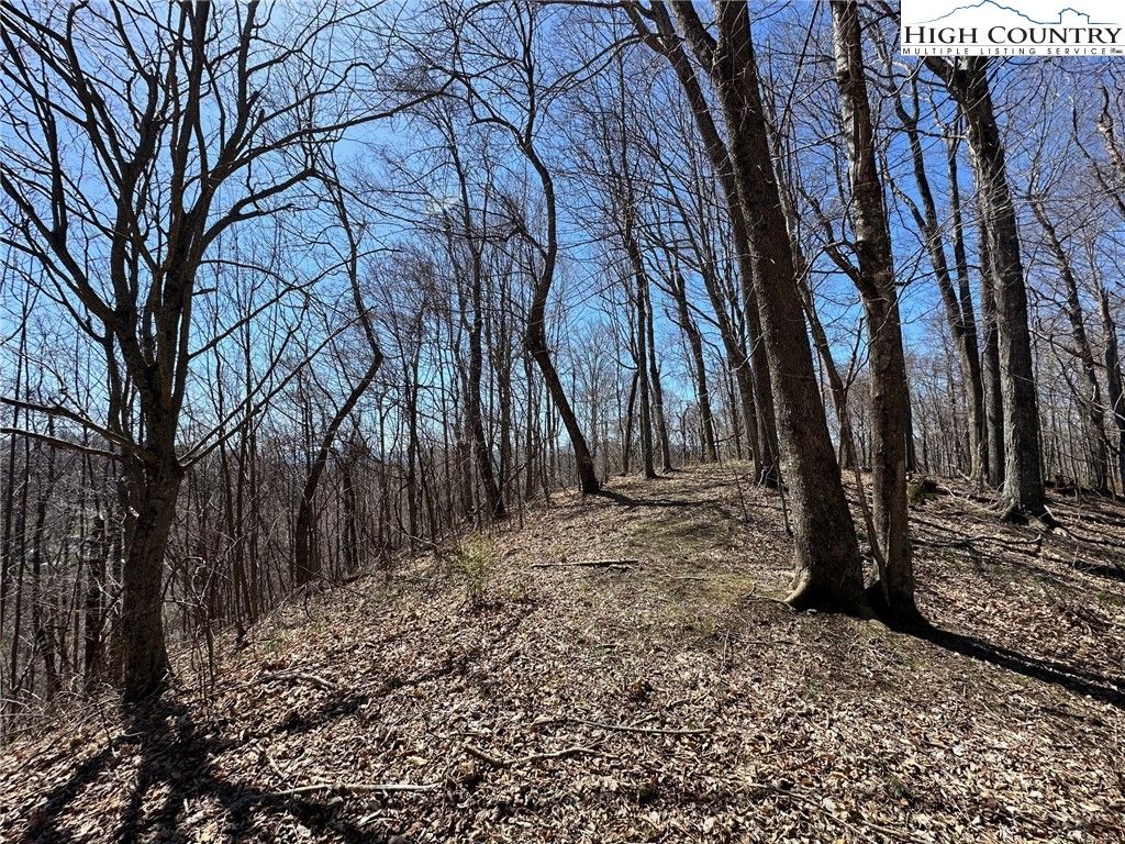 Photo of Lots # 10-11-12 Yasmine Lane, Vilas, NC 28692 (MLS # 259297)