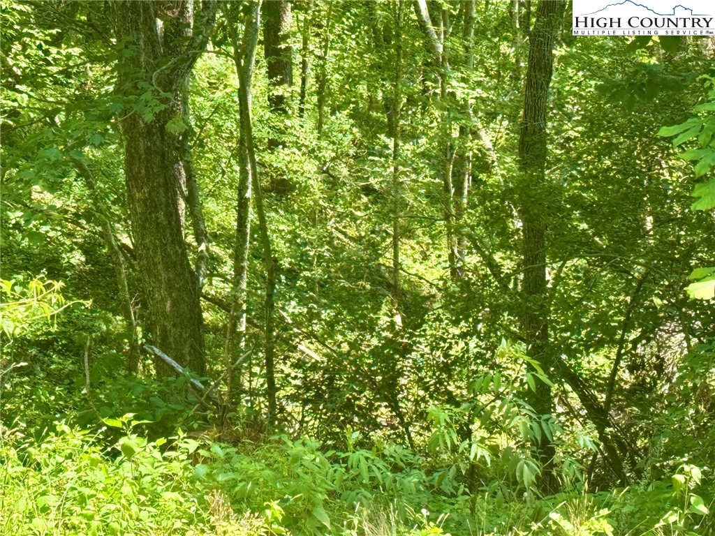 Newland, North Carolina 28657, United States, ,Land,Active,158719