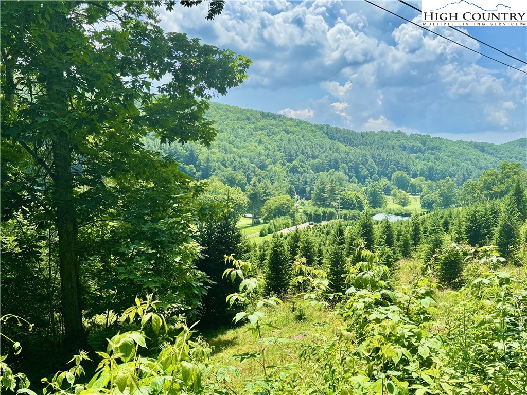 Newland, North Carolina 28657, United States, ,Land,Active,158719