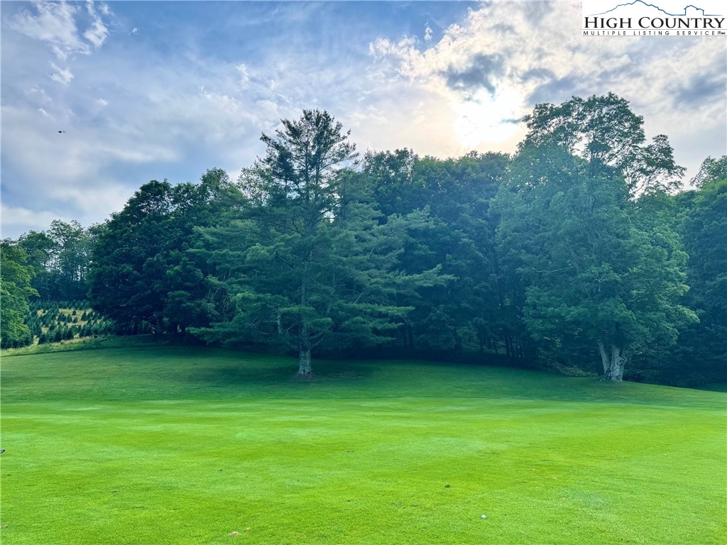 Newland, North Carolina 28657, United States, ,Land,Active,158719