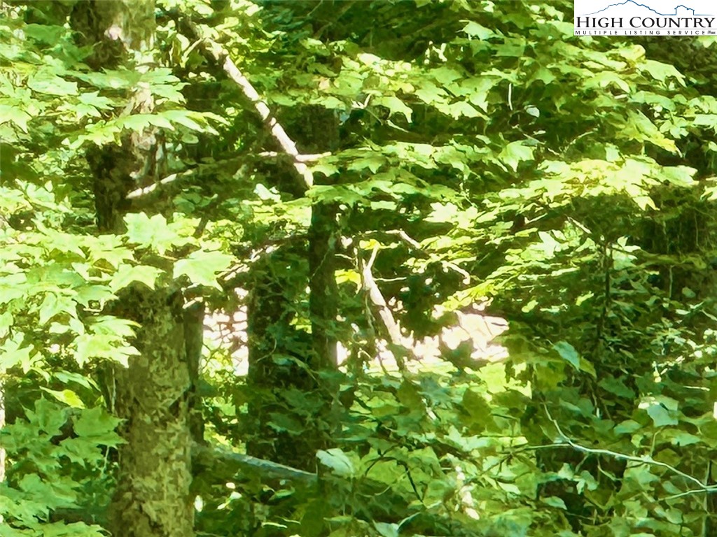 Newland, North Carolina 28657, United States, ,Land,Active,158719