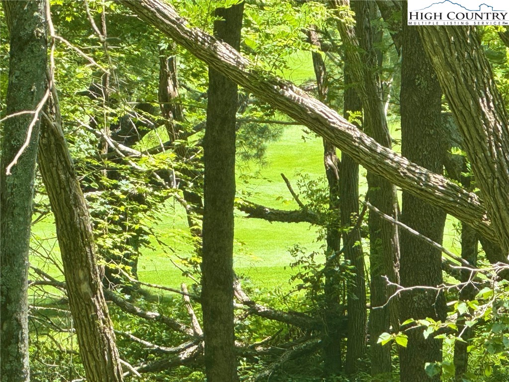 Newland, North Carolina 28657, United States, ,Land,Active,158719