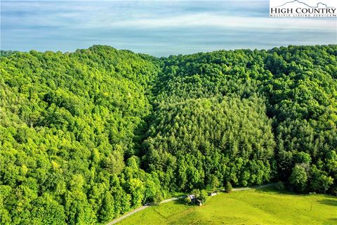 Photo of TBD Ray Davis Road, Lansing, NC 28643 (MLS # 250016) Photo of TBD Ray Davis Road, Lansing, NC 28643 (MLS # 250016)