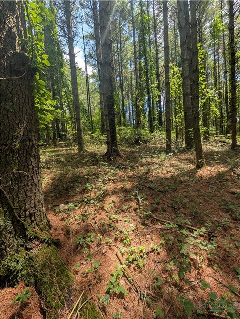 Photo of tbd Doell Lane #20, Sparta, NC 28675 (MLS # 263070)