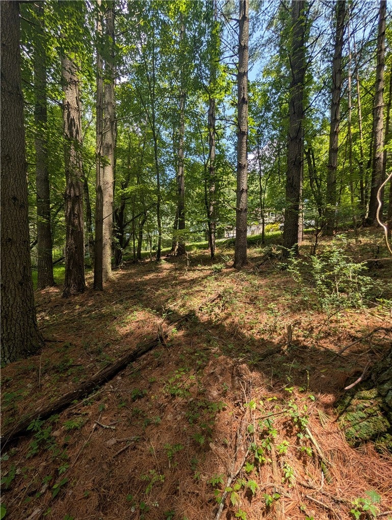 tbd Doell Lane 20