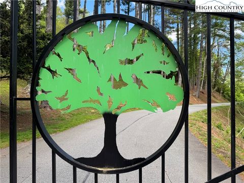Photo of lot 50 Fire Pink Road, Boone, NC 28607 (MLS # 255243)