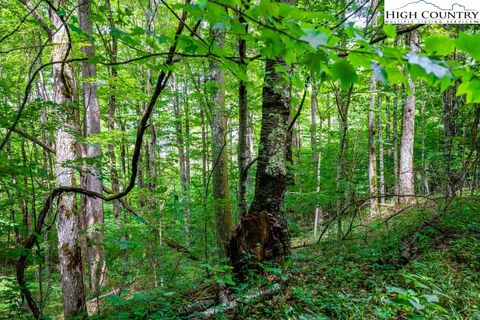 Photo of Lot 16 Rich Mountain Estates, Zionville, NC 28698 (MLS # 227004)