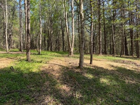 Photo of TBD (1.014 acre) Crestview Drive West, Creston, NC 28615 (MLS # 261247)