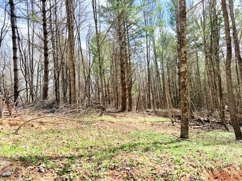 Photo of TBD (1 acre) Crestview Drive West, Creston, NC 28615 (MLS # 261247)
